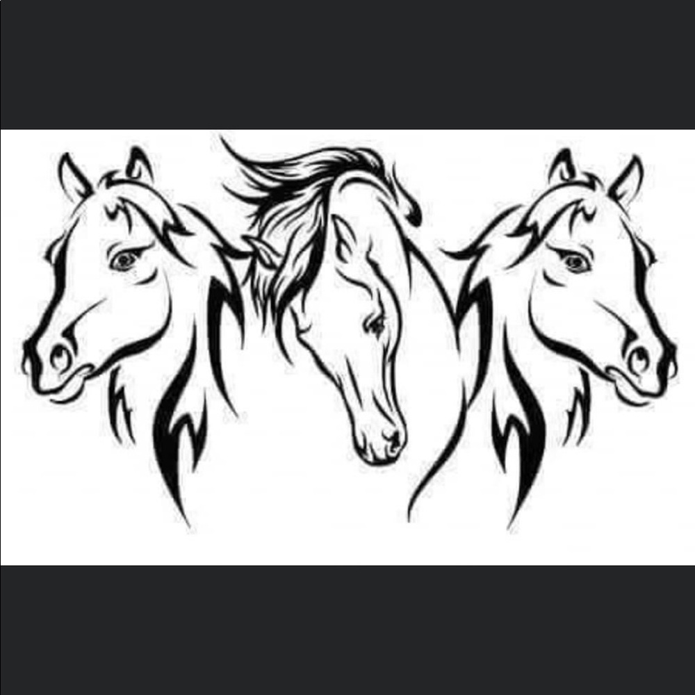 COPY - Horse decal